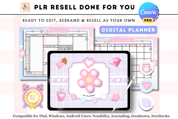 Download 2025 PLR Resell Canva Digital Planner - Digital planner Collection